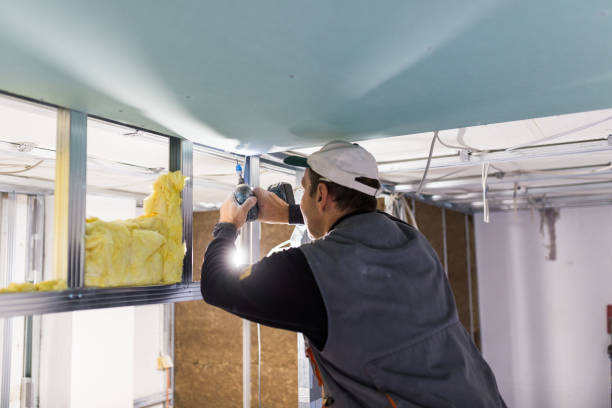 Best Wall Insulation Contractor  in Advance, MO
