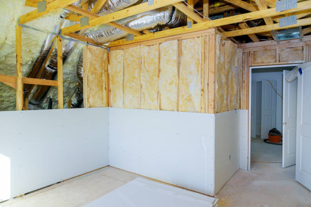Best Blown-in Insulation  in Advance, MO