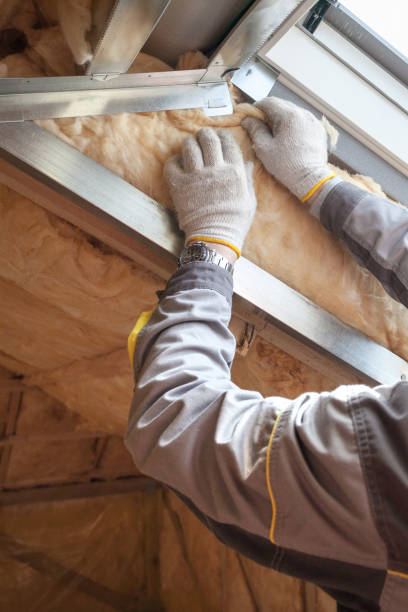 Best Commercial Insulation Contractor  in Advance, MO