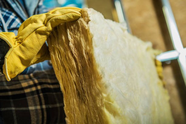 Best Local Insulation Services  in Advance, MO