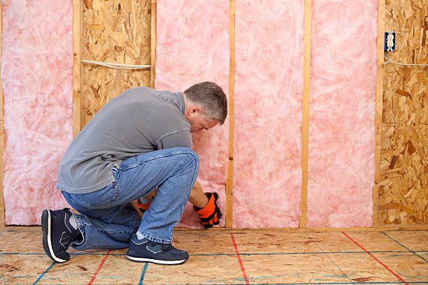 Best Best Insulation Companies  in Advance, MO