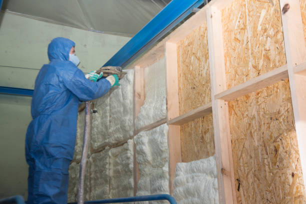 Best Attic Insulation Installation  in Advance, MO
